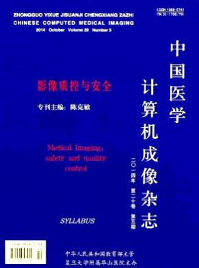中國醫學計算機成像